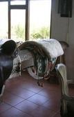 Туры в отель BLA Lodge