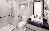 Туры в отель Ravatel Luxury Hotel Bac Giang
