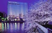 Туры в отель Day Nice Hotel Tokyo