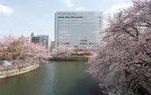 Туры в отель Day Nice Hotel Tokyo