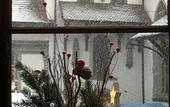 Туры в отель Hotel Schlussel