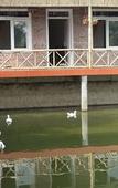 Туры в отель Ninh Binh Mountain Side Homestay & Cafe