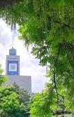 Туры в отель Ibis Hotel (Wenzhou University Town)