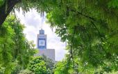 Туры в отель Ibis Hotel (Wenzhou University Town)