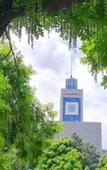 Туры в отель Ibis Hotel (Wenzhou University Town)