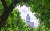 Туры в отель Ibis Hotel (Wenzhou University Town)