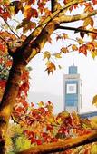 Туры в отель Ibis Hotel (Wenzhou University Town)