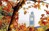 Туры в отель Ibis Hotel (Wenzhou University Town)