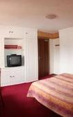 Туры в отель Hotel La Marmotte