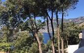 Туры в отель Hotel Piccolo Sant'Andrea