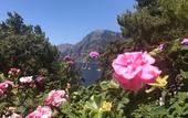 Туры в отель Hotel Piccolo Sant'Andrea
