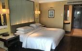 Туры в отель Ramada Plaza by Wyndham Chennai