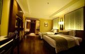 Туры в отель Ramada Plaza by Wyndham Chennai