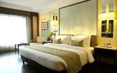 Туры в отель Ramada Plaza by Wyndham Chennai