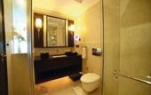 Туры в отель Ramada Plaza by Wyndham Chennai