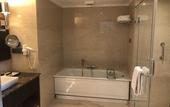 Туры в отель Ramada Plaza by Wyndham Chennai