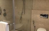 Туры в отель Ramada Plaza by Wyndham Chennai