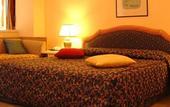 Туры в отель Hotel Elimo