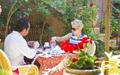 Туры в отель Hotel Elimo