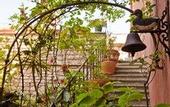Туры в отель Hotel Elimo