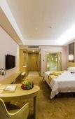 Туры в отель Vienna International Hotel (Nanning Huanan City)