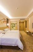Туры в отель Vienna International Hotel (Nanning Huanan City)
