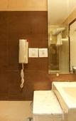 Туры в отель Treebo Premium Metropolis