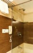 Туры в отель Treebo Premium Metropolis