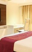 Туры в отель Treebo Premium Metropolis