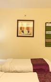 Туры в отель Treebo Premium Metropolis