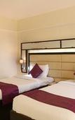 Туры в отель Treebo Premium Metropolis
