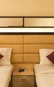 Туры в отель Treebo Premium Metropolis
