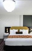 Туры в отель TRYP by Wyndham Newark Downtown