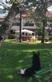 Туры в отель Pinar Kir Evi