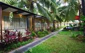 Туры в отель OYO 10001 Hotel Blue Ocean