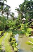 Туры в отель Song Broek Jungle Resort