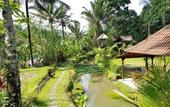 Туры в отель Song Broek Jungle Resort