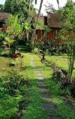 Туры в отель Song Broek Jungle Resort