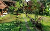 Туры в отель Song Broek Jungle Resort