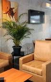 Туры в отель Hotel Complejo Los Rosales