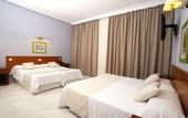 Туры в отель Hotel Complejo Los Rosales