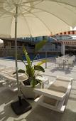 Туры в отель Hotel Complejo Los Rosales