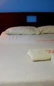 Туры в отель Vista Hotel Recto