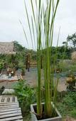 Туры в отель Nubnabnunar Resort