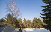Туры в отель Family Hotel Saint George