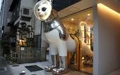 Туры в отель WeBase Hakata Hostel