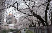Туры в отель WeBase Hakata Hostel