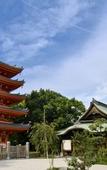 Туры в отель WeBase Hakata Hostel