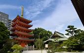 Туры в отель WeBase Hakata Hostel