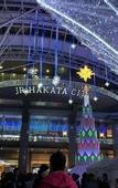 Туры в отель WeBase Hakata Hostel